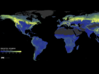 SPUN