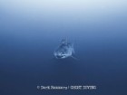 Derk Remmers, Ghost Diving