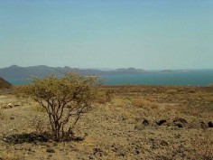 Jezioro Turkana, Kenia