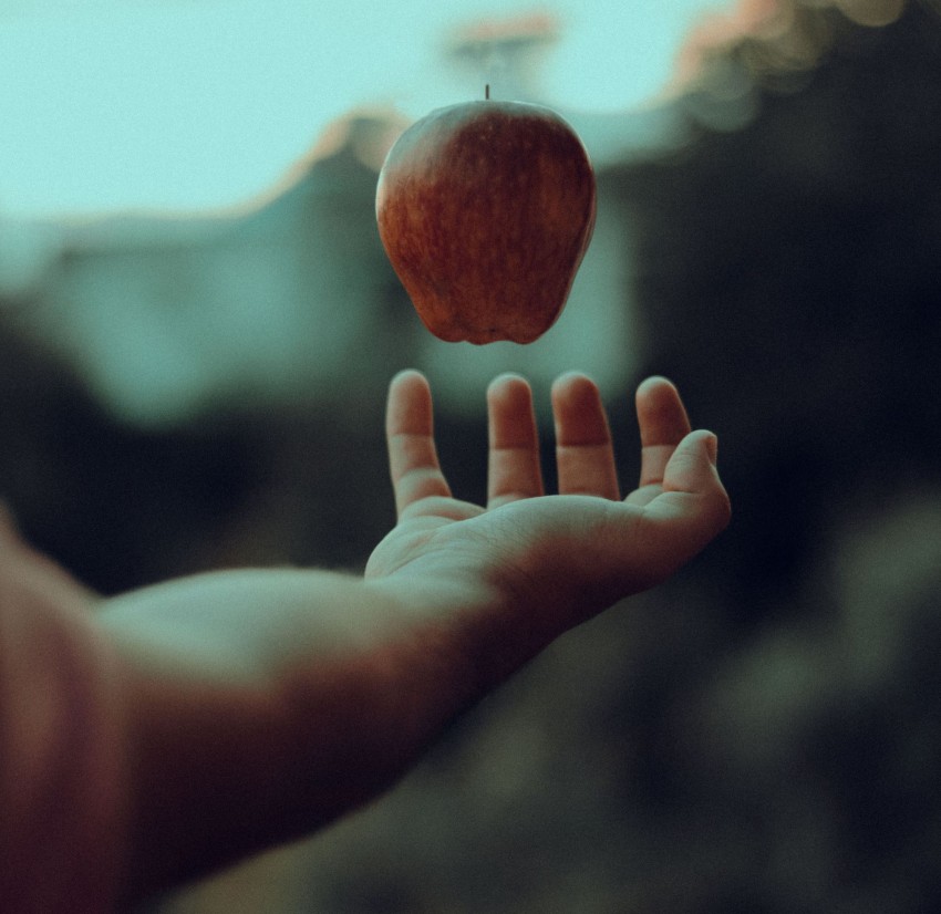 Scientists measure Einstein's gravity in the quantum realm