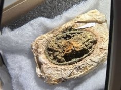 Arkæologi Vestjylland, Konserveringscenter Vejle