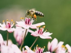 Aaron Burden, Unsplash