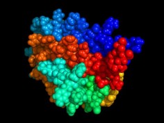 Erytropoetyna (EPO)