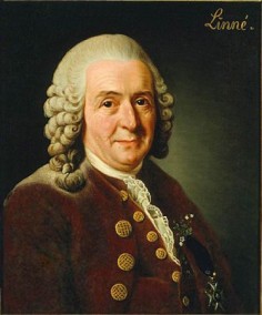 Karol Linneusz (Carl von Linneé)autor: Alexander Roslin (1775)
