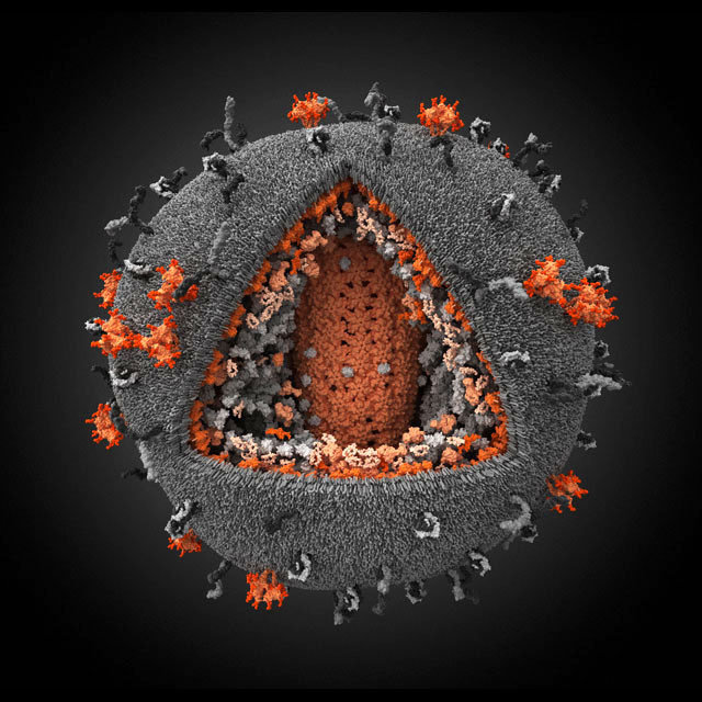 Podglądanie HIV