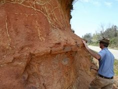 John A. Kelley, USDA Natural Resources Conservation Service