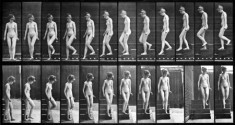 Kobieta na schodachautor: Eadweard Muybridge
